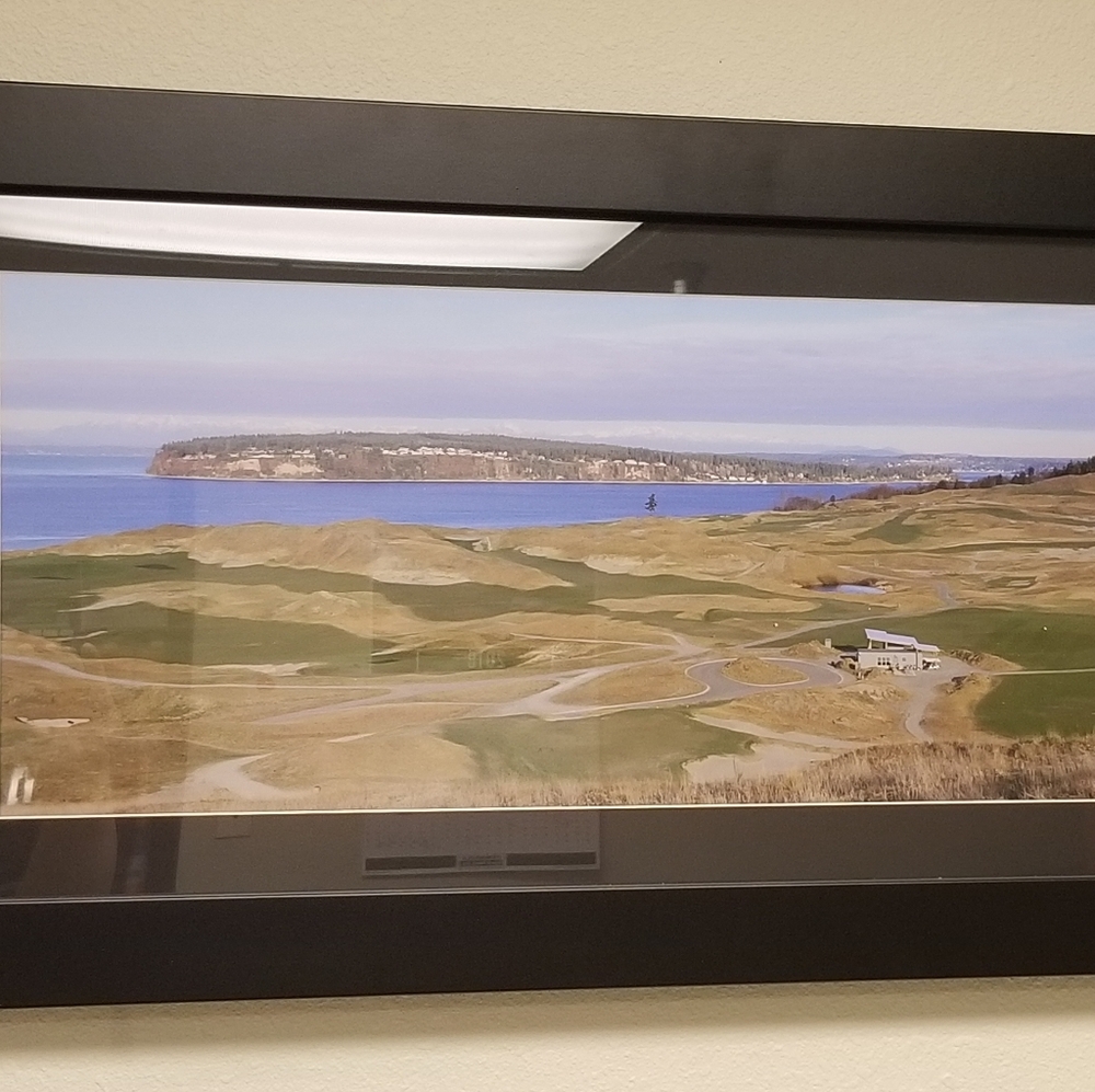 20x38 Chamber's Bay framed picture!